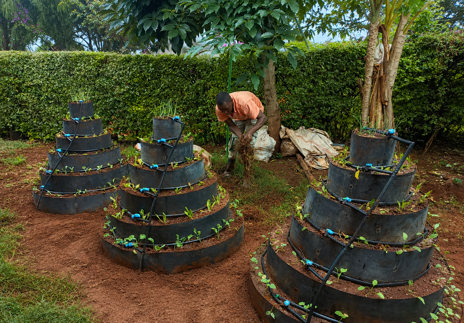Drip irrigation kit